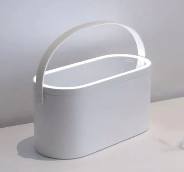 Portable LED Light Vanity Mirror with Makeup Case